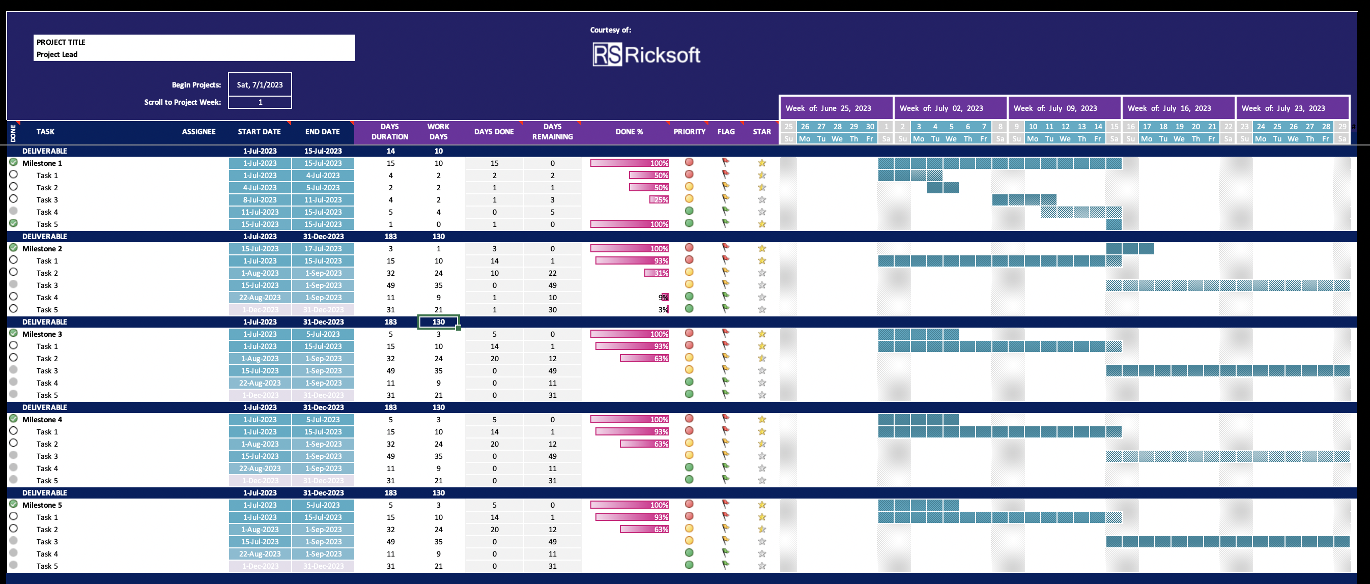 Ricksoft's Gantt Chart Product Management Timeline 